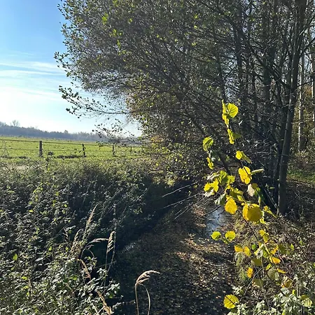 Am Rosencarree Белиц