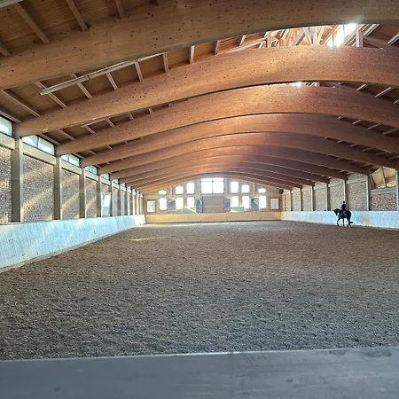 Am Rosencarree Белиц